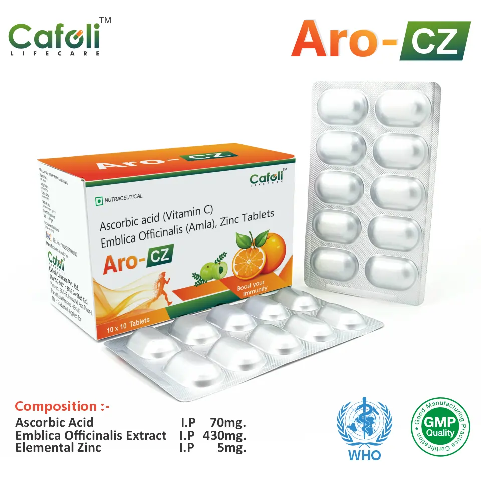Ascorbic Acid Emblica Officinalis Zinc Tablet PCD Franchise Opportunity